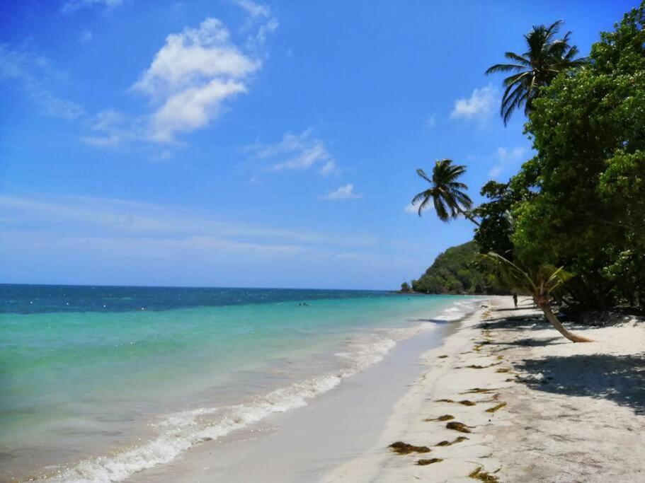 Mi Hermosa - Casa Islena A 70 Metros De La Playa Archibolds Exteriör bild