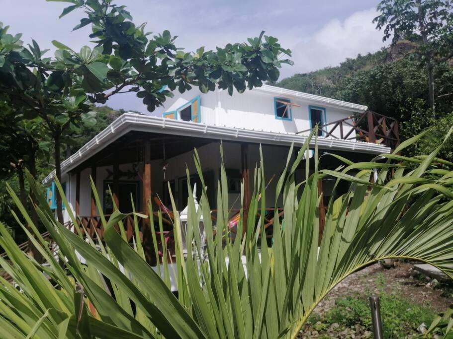 Mi Hermosa - Casa Islena A 70 Metros De La Playa Archibolds Exteriör bild